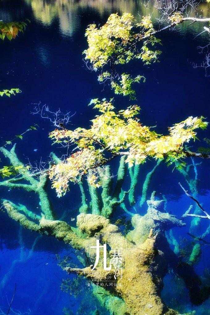 禅宗花园