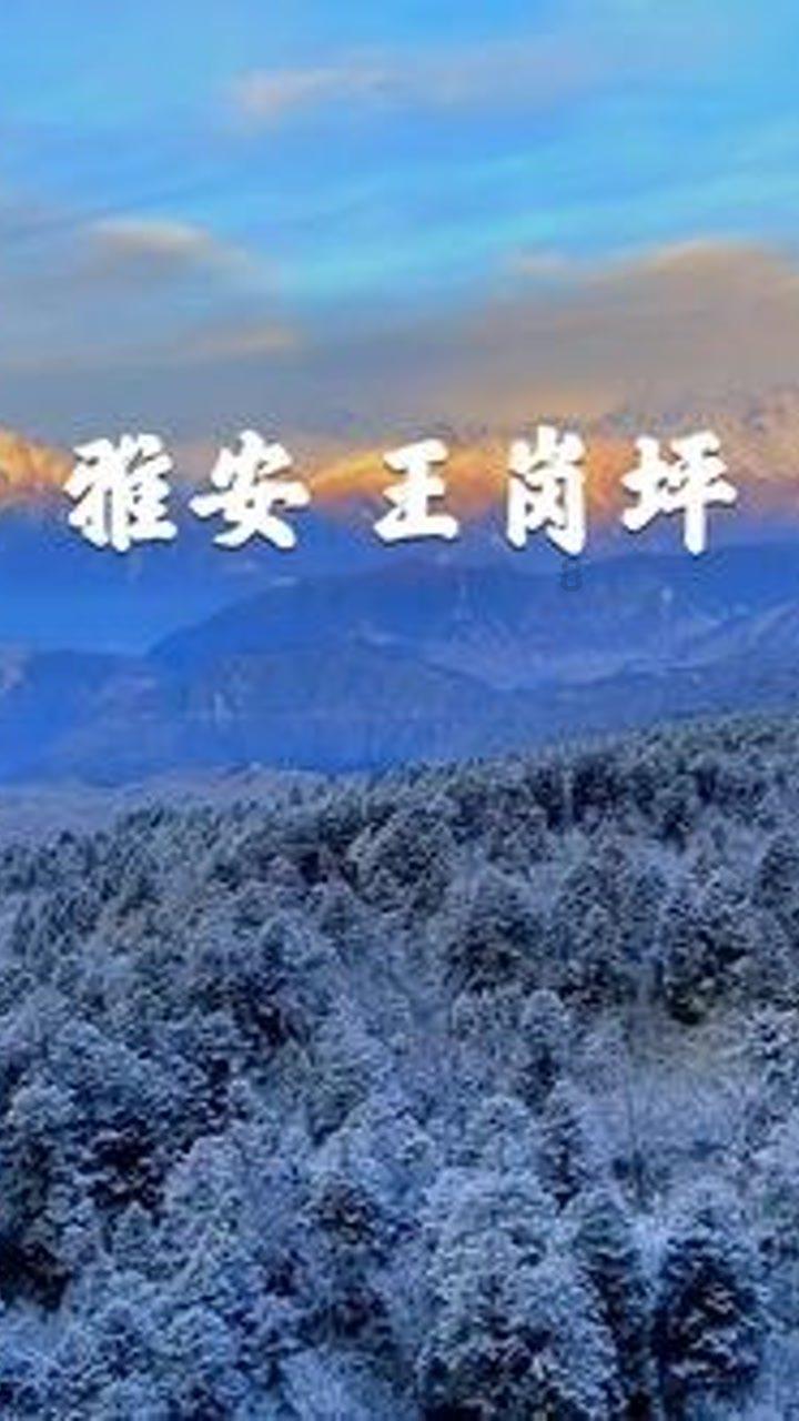拖延症是怎么回事呢？游戏画面