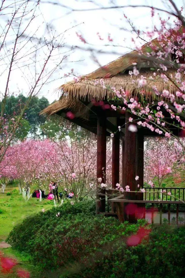 机构：黄金可能面临看涨波动突破情景