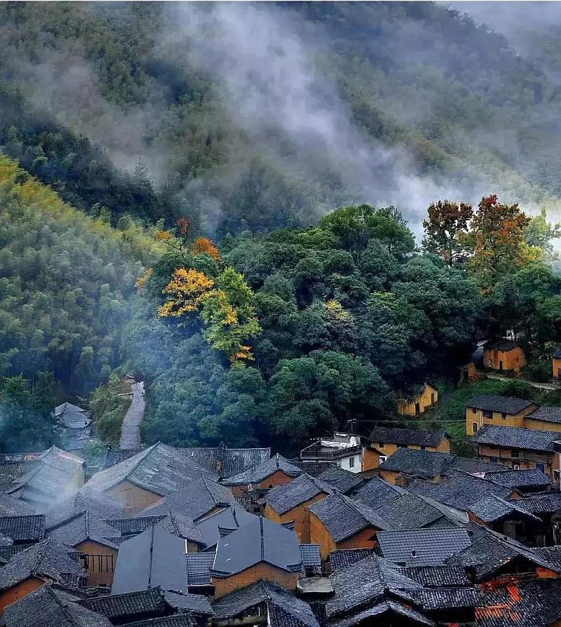 东莞证券发布贵州茅台“买入”评级报告，旗下长安分公司卖出逾560万股