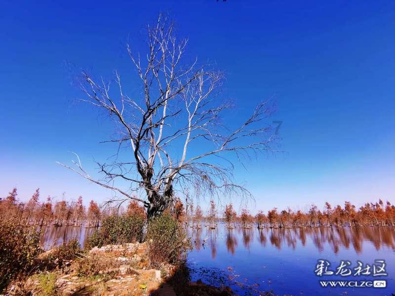 深度学习公积金是否必须缴纳,单位说我是农村户口不给缴纳,我找那个部门?,打造智能自学平台