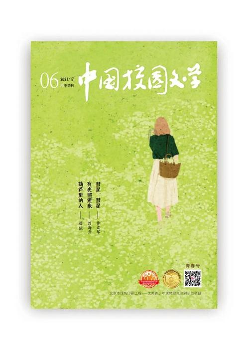 化学小论文：化学师范生实验教学能力评价体系的研究