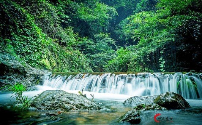 丰田去年纯电销售约10.4万辆 占比不到1%