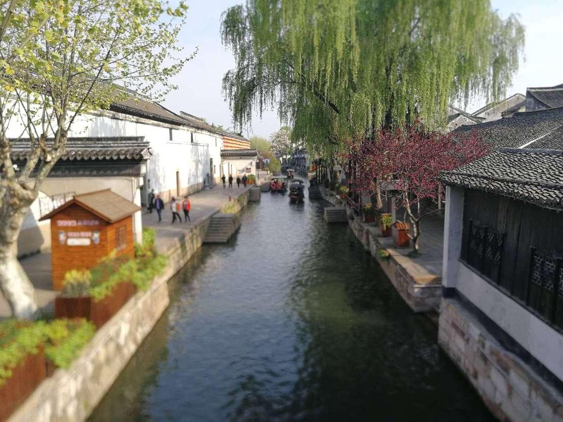 植物大战僵尸12