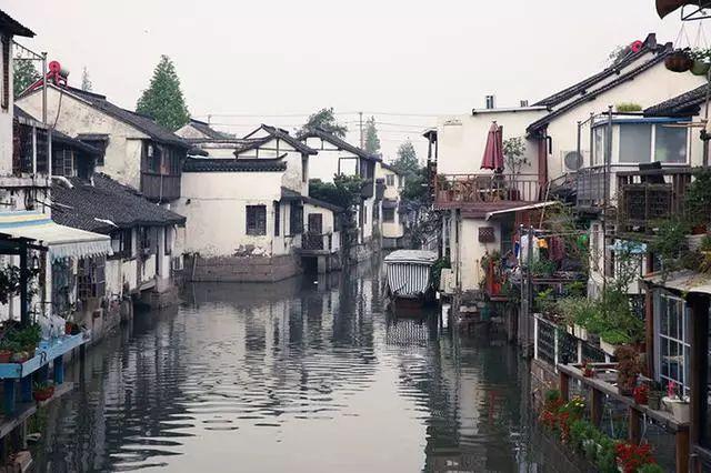 淘气兔救援