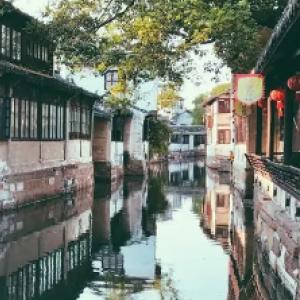 拯救昆虫群